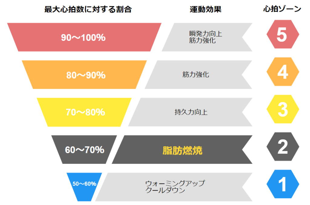 心拍ゾーン別の運動効果について